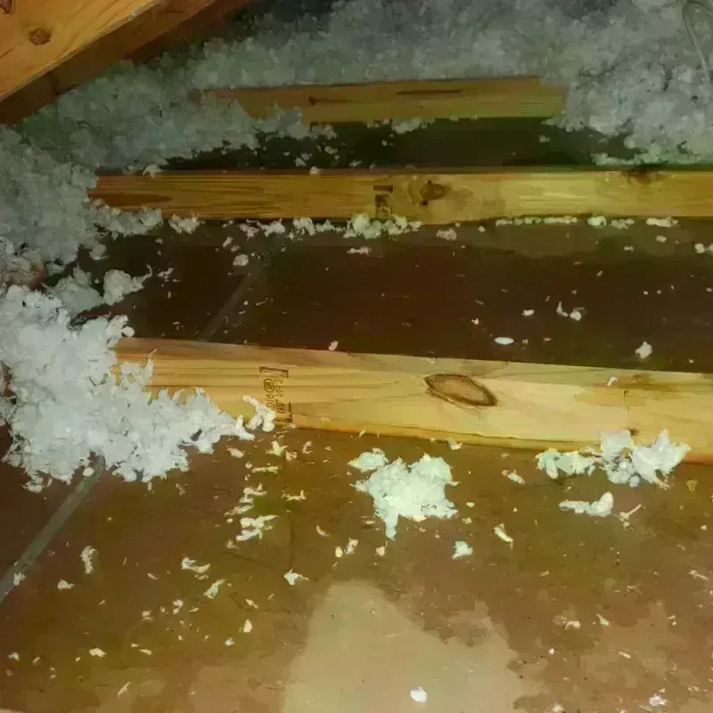 Attic Water Damage in Village Saint George, LA